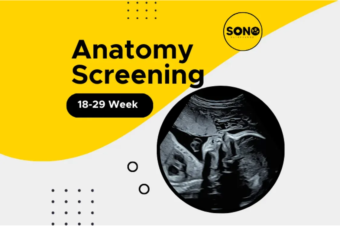 20-Week Anatomy Scan